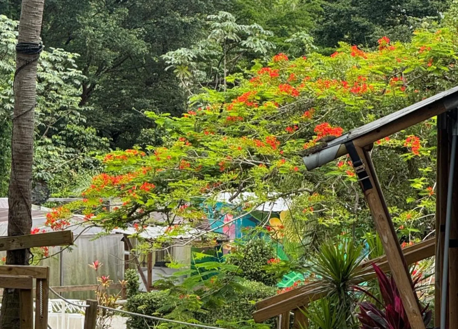 Jardin Al Bosque-Glamping Hotel San Juan Luksustelt