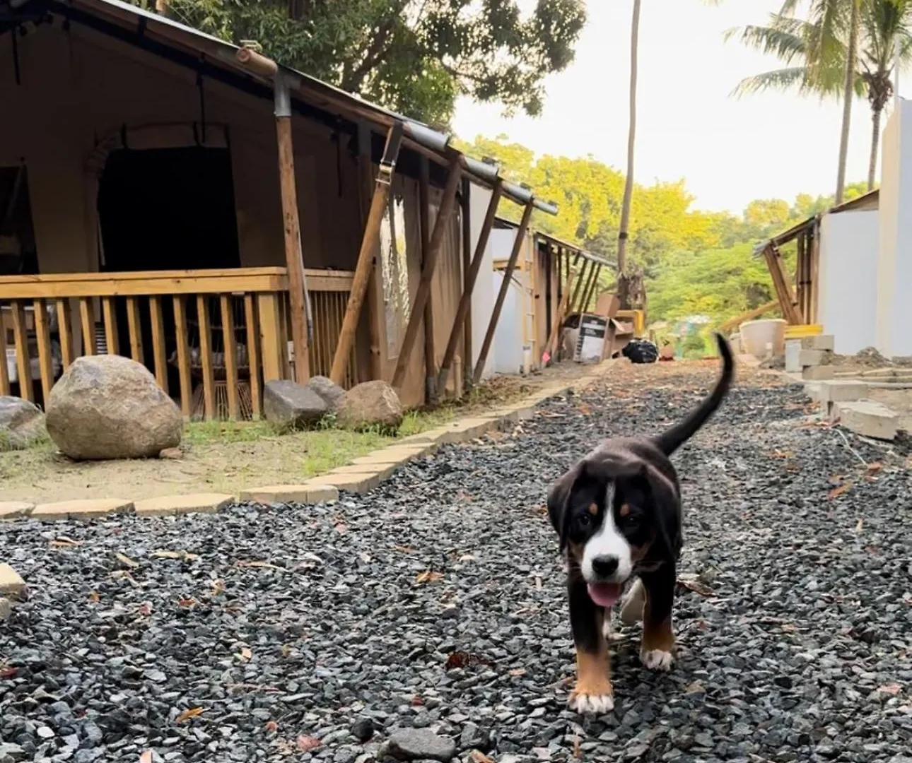 Jardin Al Bosque-Glamping Hotel San Juan Puerto Rico