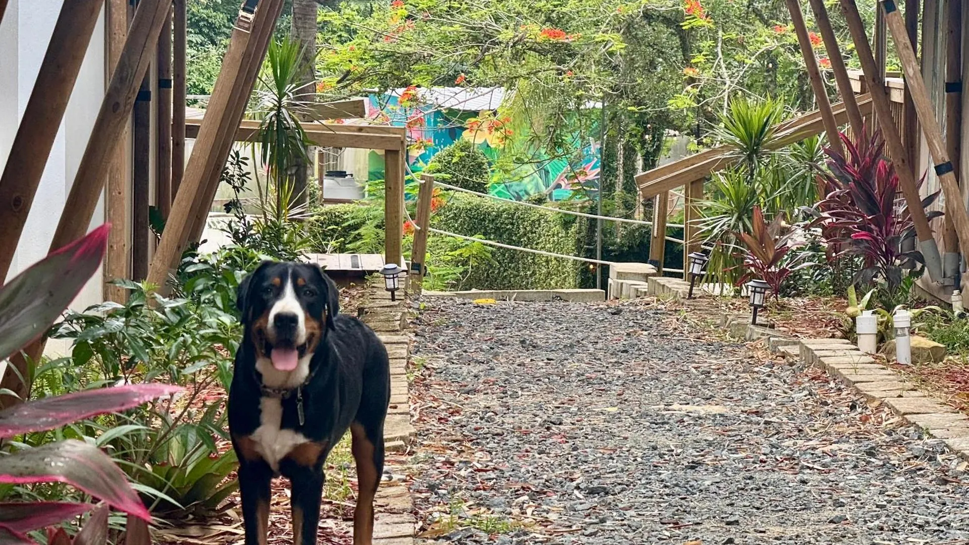Jardin Al Bosque-Glamping Hotel San Juan Luxury tent